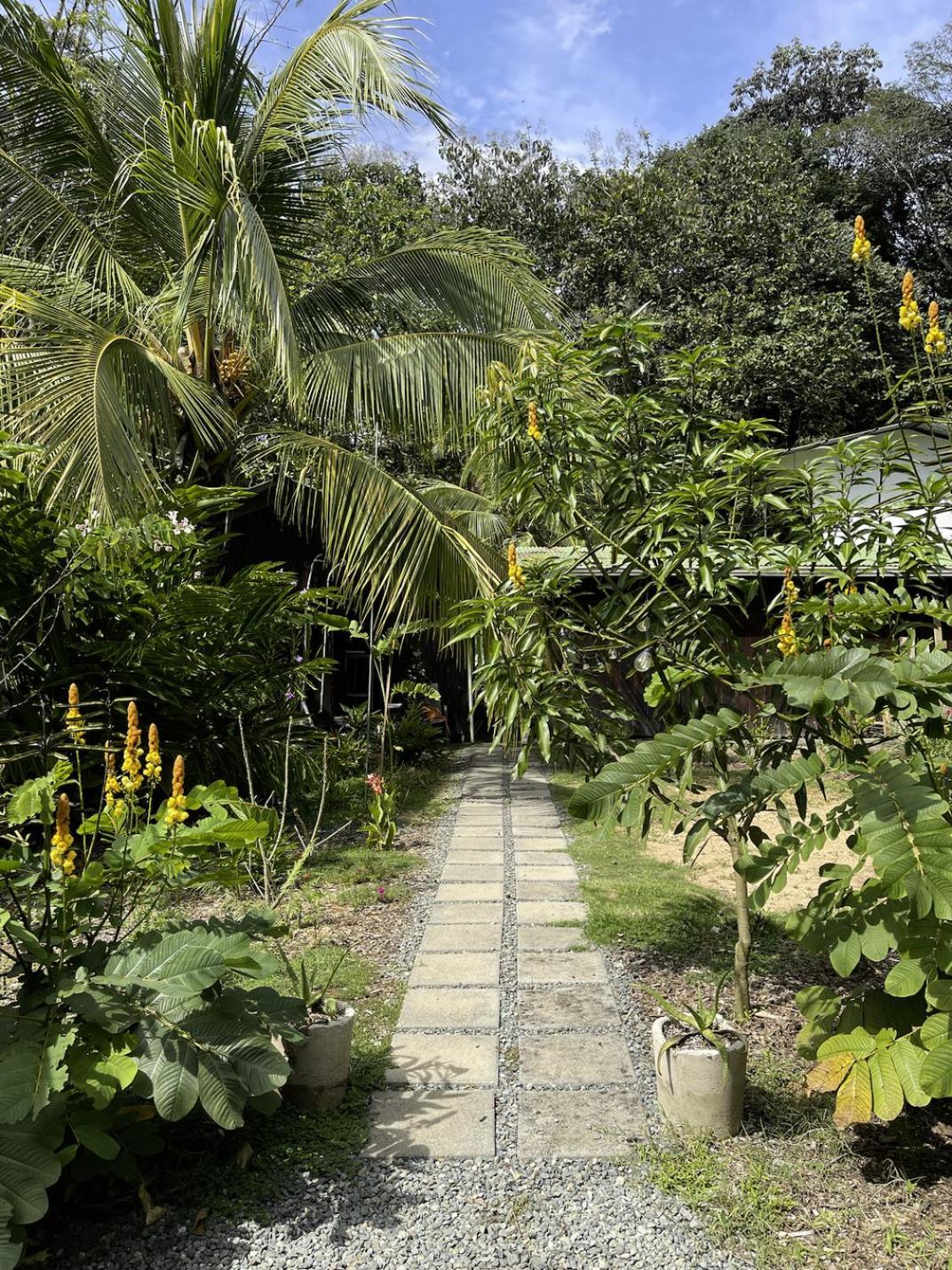 Casa Morpho Uvita Guesthouse Exterior photo